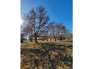 Foto 2 de PRE-VENTA-LOTES COLONIA CAROYA-550m2
