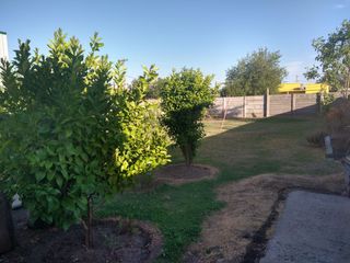 Foto 4 de VENTA DE CASA EN Roque Pérez
