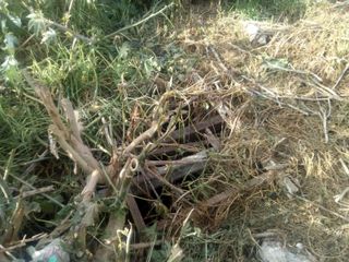 Foto 19 de Lote de terreno en VENTA con mejoras, posee escritura e impuestos al día.