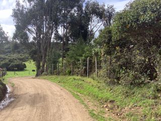 Foto 28 de CASA CAMPESTRE VENTA GUASCA VDA MARIANO OSPINA, C. V 1497