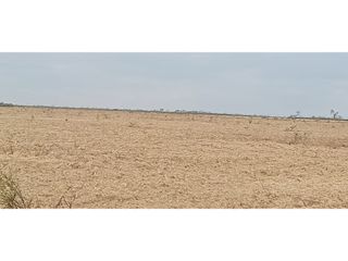 Foto 2 de VENTA-CAMPO GANADERO 200has-SANTIAGO DEL ESTERO