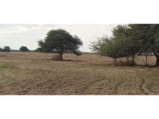 Foto 4 de VENTA-CAMPO GANADERO 200has-SANTIAGO DEL ESTERO