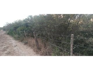 Foto 6 de VENTA-CAMPO GANADERO 200has-SANTIAGO DEL ESTERO