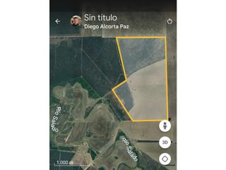 Foto 9 de VENTA-CAMPO GANADERO 200has-SANTIAGO DEL ESTERO