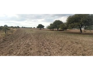 Foto 3 de VENTA-CAMPO GANADERO 200has-SANTIAGO DEL ESTERO