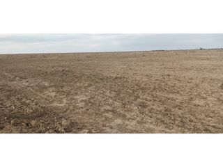 Foto 5 de VENTA-CAMPO GANADERO 200has-SANTIAGO DEL ESTERO