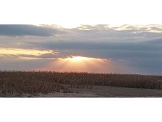 Foto 1 de VENTA-CAMPO GANADERO 200has-SANTIAGO DEL ESTERO