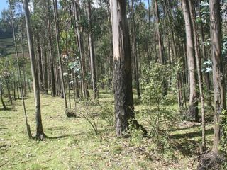 Foto 10 de Se Vende Terreno para Desarrollar en Tolontag
