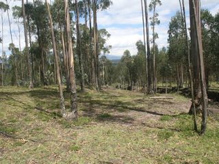 Foto 9 de Se Vende Terreno para Desarrollar en Tolontag