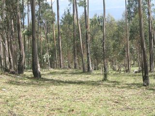 Foto 13 de Se Vende Terreno para Desarrollar en Tolontag