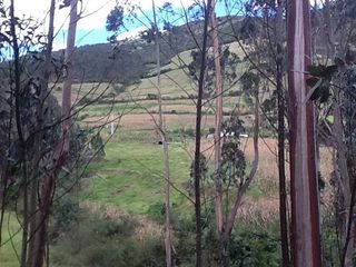 Foto 17 de Se Vende Terreno para Desarrollar en Tolontag