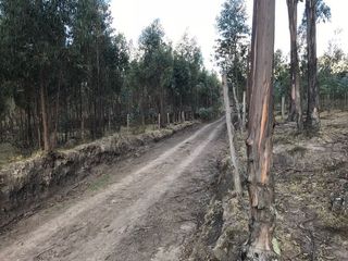 Foto 1 de Se Vende Terreno para Desarrollar en Tolontag