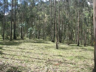 Foto 3 de Se Vende Terreno para Desarrollar en Tolontag