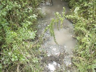 Foto 2 de Se Vende Terreno para Desarrollar en Tolontag