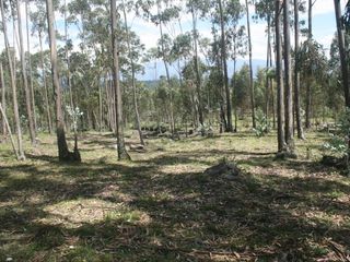 Foto 7 de Se Vende Terreno para Desarrollar en Tolontag