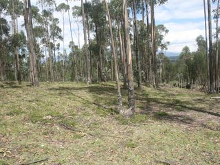 Foto 14 de Se Vende Terreno para Desarrollar en Tolontag