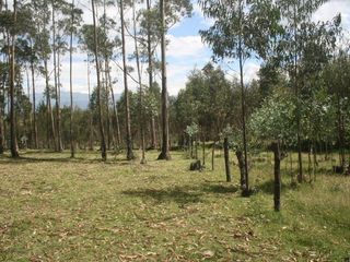 Foto 11 de Se Vende Terreno para Desarrollar en Tolontag
