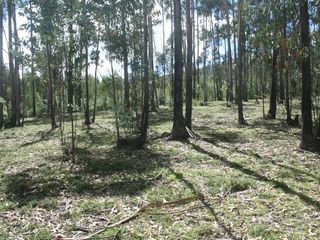Foto 6 de Se Vende Terreno para Desarrollar en Tolontag
