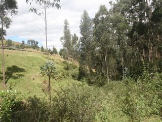 Foto 4 de Se Vende Terreno para Desarrollar en Tolontag