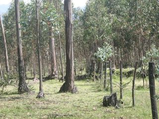 Foto 12 de Se Vende Terreno para Desarrollar en Tolontag