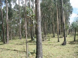 Foto 8 de Se Vende Terreno para Desarrollar en Tolontag