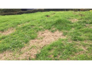 Foto 1 de Venta Lote en el Alto de las Palmas