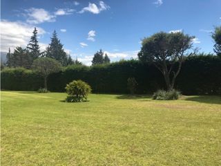 Foto 10 de QUINTA EN VENTA PUEMBO 10.400 M2 JARDINES RESERVORIO EXCELENTE SECTOR