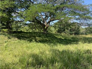 Foto 2 de Venta de lote en Puente Iglesias - Suroeste Antioqueño