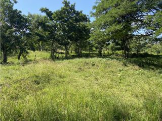 Foto 6 de Venta de lote en Puente Iglesias - Suroeste Antioqueño