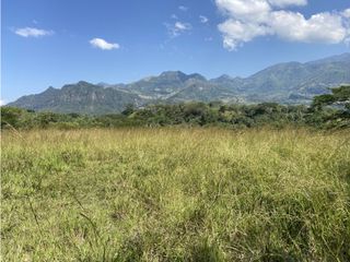 Foto 7 de Venta de lote en Puente Iglesias - Suroeste Antioqueño