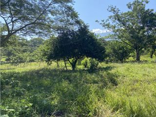 Foto 4 de Venta de lote en Puente Iglesias - Suroeste Antioqueño