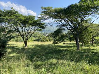 Foto 12 de Venta de lote en Puente Iglesias - Suroeste Antioqueño