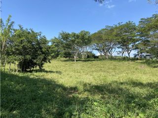 Foto 1 de Venta de lote en Puente Iglesias - Suroeste Antioqueño