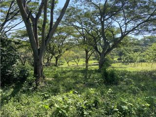 Foto 5 de Venta de lote en Puente Iglesias - Suroeste Antioqueño