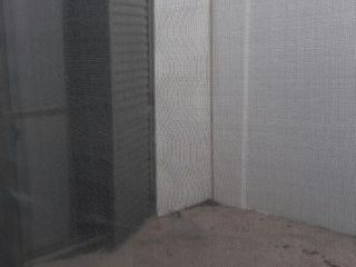 Foto 5 de CASA 150 MIL EN DOLORES CENTRO