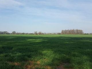 Foto 7 de Oportunidad!! Exc Campo De 10ha en Lobos, Zona Haras, Agricola Ganadera, ideal emprendimiento!