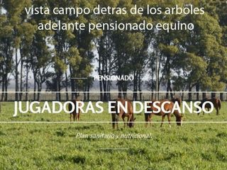 Foto 14 de Oportunidad!! Exc Campo De 10ha en Lobos, Zona Haras, Agricola Ganadera, ideal emprendimiento!