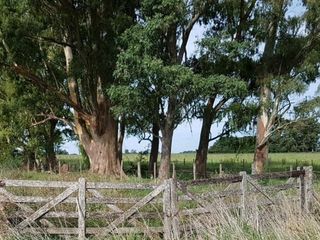 Foto 3 de Oportunidad!! Exc Campo De 10ha en Lobos, Zona Haras, Agricola Ganadera, ideal emprendimiento!