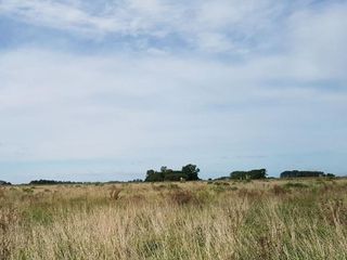 Foto 6 de Oportunidad!! Exc Campo De 10ha en Lobos, Zona Haras, Agricola Ganadera, ideal emprendimiento!