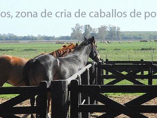 Foto 12 de Oportunidad!! Exc Campo De 10ha en Lobos, Zona Haras, Agricola Ganadera, ideal emprendimiento!