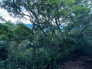Foto 2 de VENTA TERRENO EN VALLE HERMOSO
