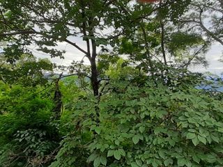 Foto 6 de VENTA TERRENO EN VALLE HERMOSO