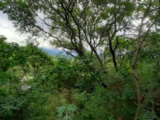 Foto 9 de VENTA TERRENO EN VALLE HERMOSO