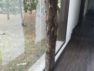 Foto 15 de casa condominio en arriendo/venta en kubik verde. Cod A3201