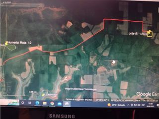 Foto 4 de Chacra 25 ha- Puerto Libertad-Mnes