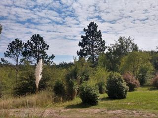 Foto 11 de TERRENOS EN VENTA EN LA CUMBRE