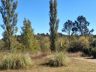Foto 7 de TERRENOS EN VENTA EN LA CUMBRE