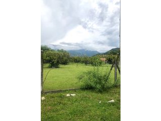 Foto 2 de VENTA DE TERRENO EN CAMPO QUIJANO