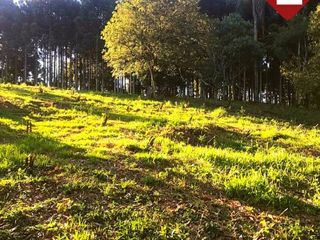 Foto 2 de Terreno de 1 hectÃ¡reas