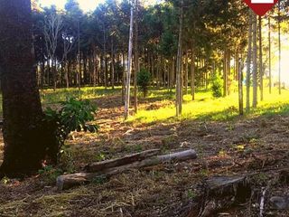 Foto 6 de Terreno de 1 hectÃ¡reas